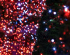 Christmas Wallpapers 160